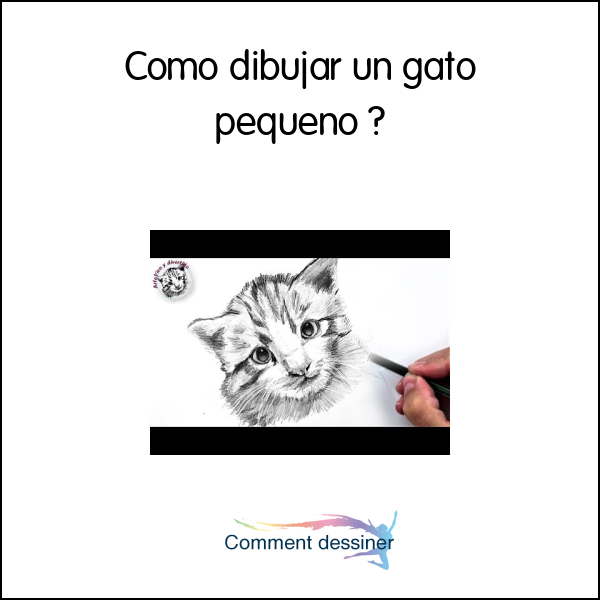 Cómo dibujar un gato pequeño